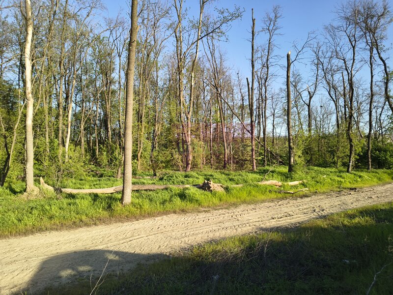 Teren la Jonctiunea dintre A0 si DN5