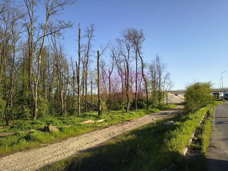 Teren la Jonctiunea dintre A0 si DN5